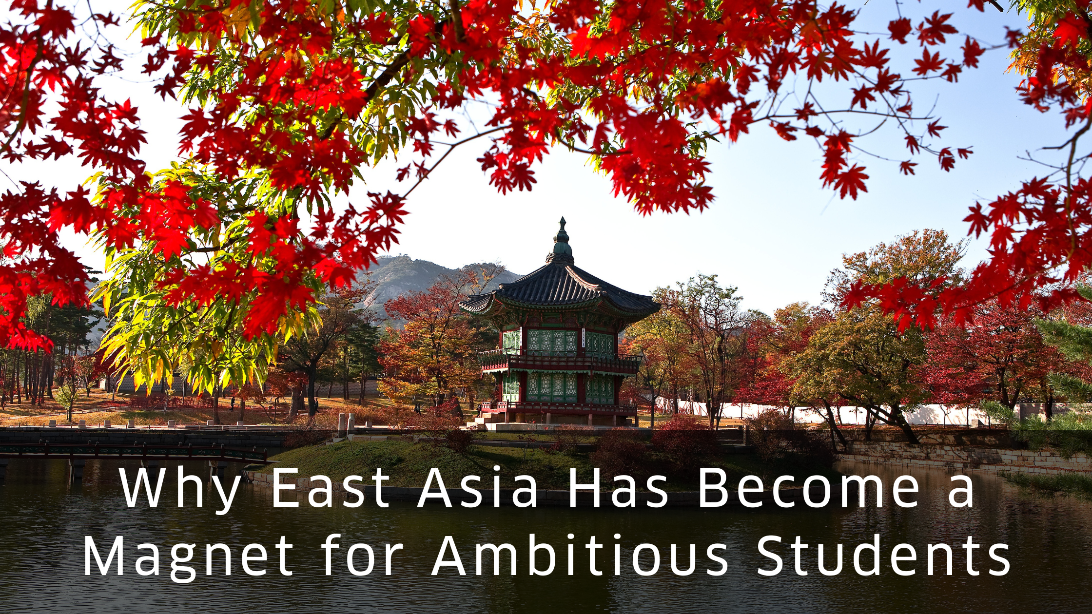 Why East Asia Has Become a Magnet for Ambitious Students